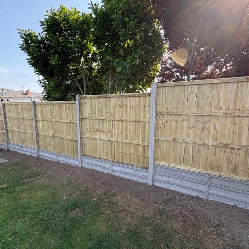 WhatsApp Image 2025-12-19 at 8.24.30 AM